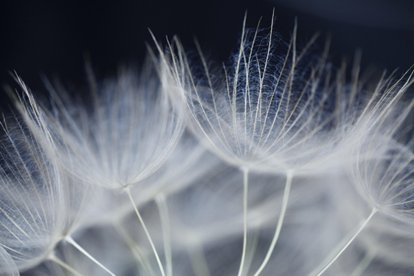 <br />
<b>Warning</b>:  Undefined property: stdClass::$img_alt_tag in <b>/homepages/5/d4298857026/htdocs/cms2026/modules/mod_uk_grid/tmpl/default.php</b> on line <b>128</b><br />
