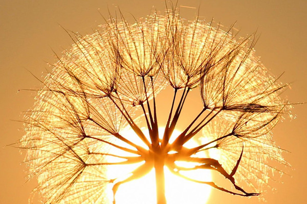 <br />
<b>Warning</b>:  Undefined property: stdClass::$img_alt_tag in <b>/homepages/5/d4298857026/htdocs/cms2026/modules/mod_uk_grid/tmpl/default.php</b> on line <b>128</b><br />
